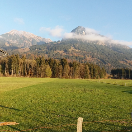 Hundetreffen 2018 im Allgäu (13)